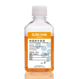 Premium Fetal Bovine Serum (FBS) China Origin